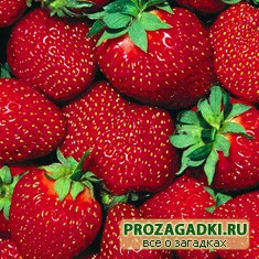 загадки про клубнику с ответами