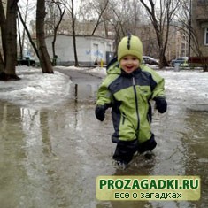 загадки про лужу с ответами