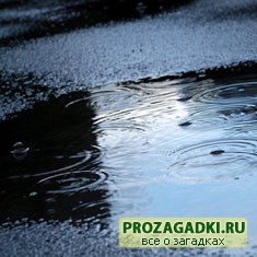 загадки про лужу с ответами